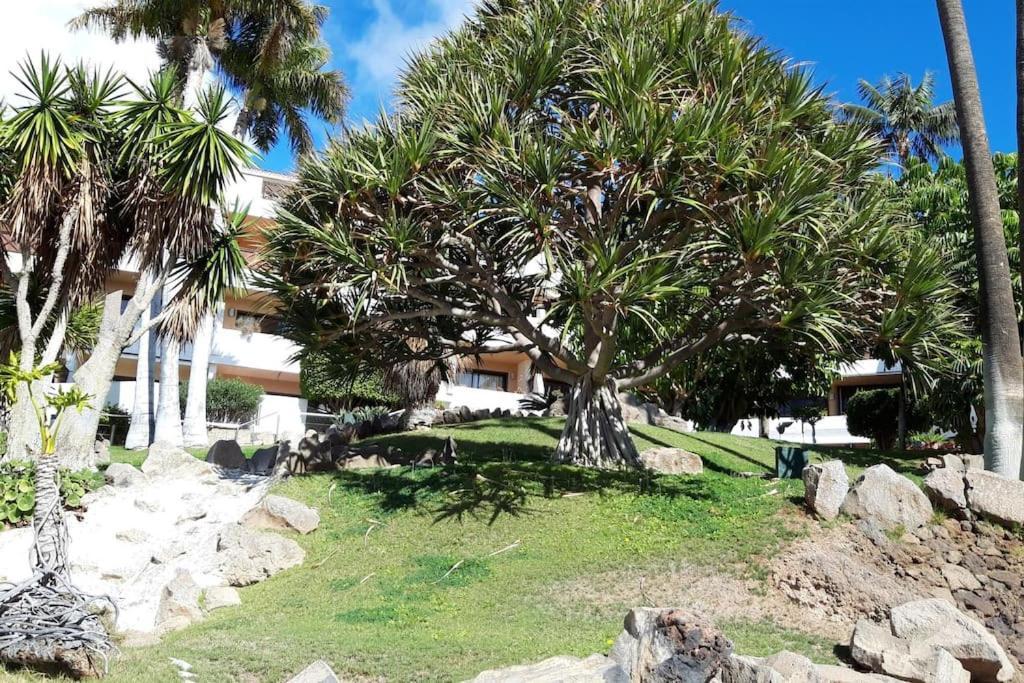 Apartment With Pool And Gardens Near The Coast San Miguel de Abona Eksteriør billede