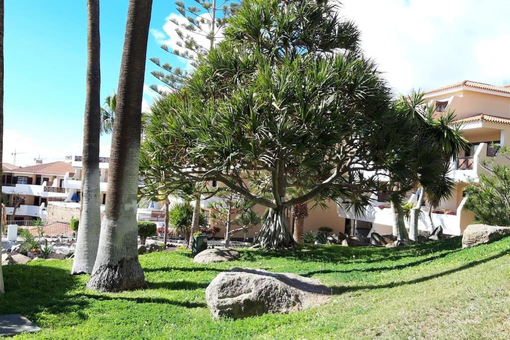 Apartment With Pool And Gardens Near The Coast San Miguel de Abona Eksteriør billede