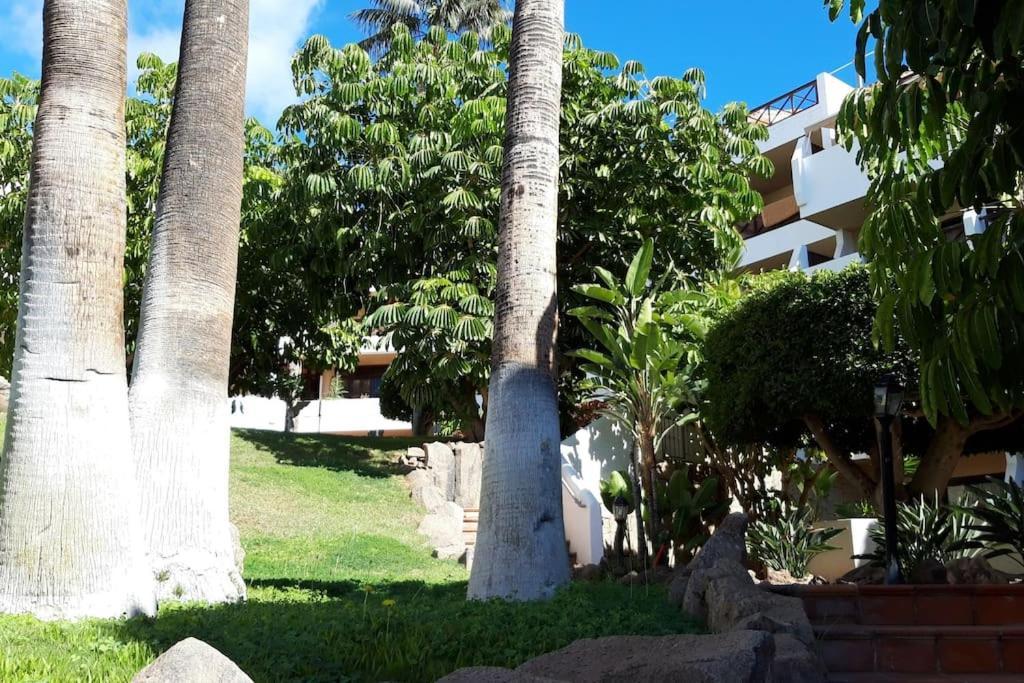 Apartment With Pool And Gardens Near The Coast San Miguel de Abona Eksteriør billede